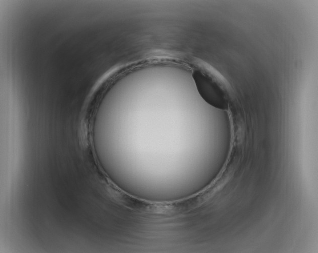 X0000115521310200911061015