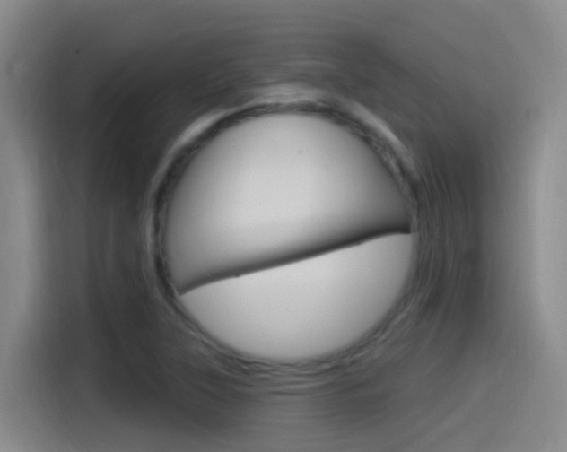 X0000115521315200911061015