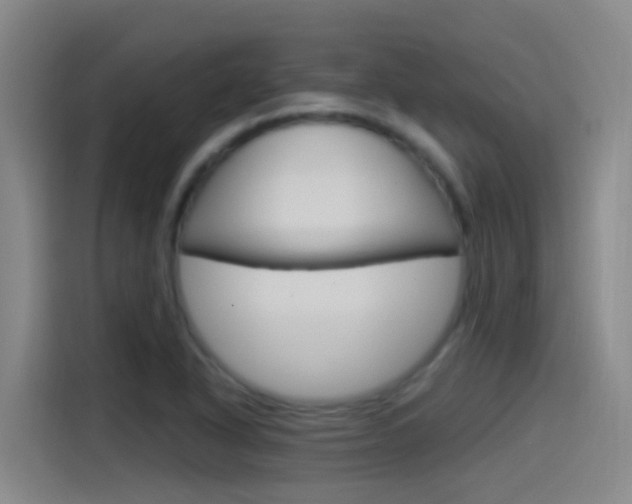 X0000115521318200911061015