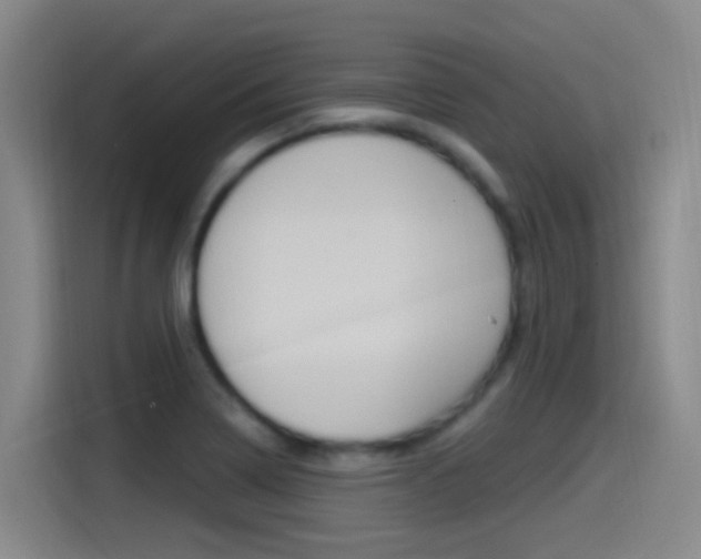 X0000115521322200911061015