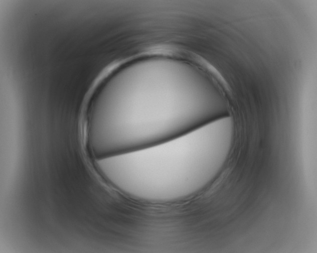 X0000115521323200911061015