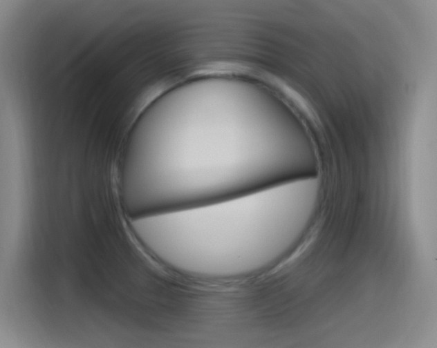 X0000115521329200911061015