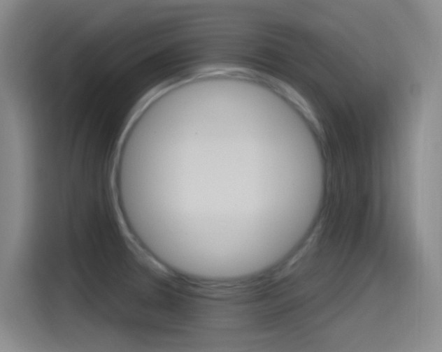 X0000115521330200911061015