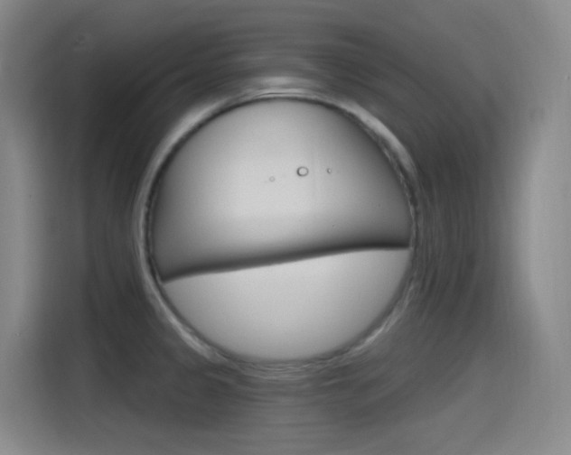 X0000115521333200911061015