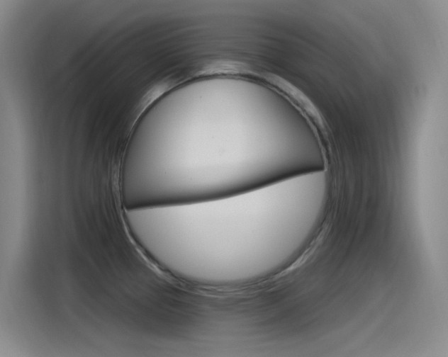 X0000115521337200911061015