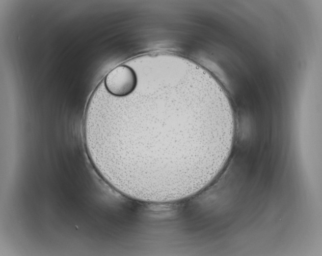 X0000115521338200911061015