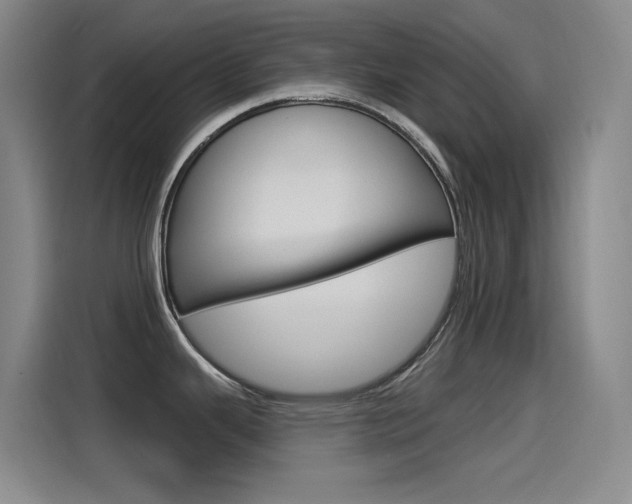 X0000115521343200911061016