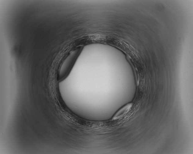 X0000115521345200911061015