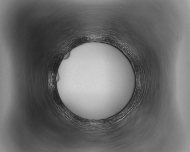 X0000115521346200911061015
