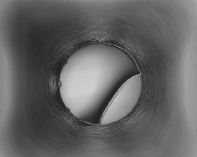 X0000115521347200911061015