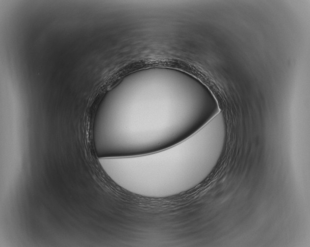 X0000115521348200911061015