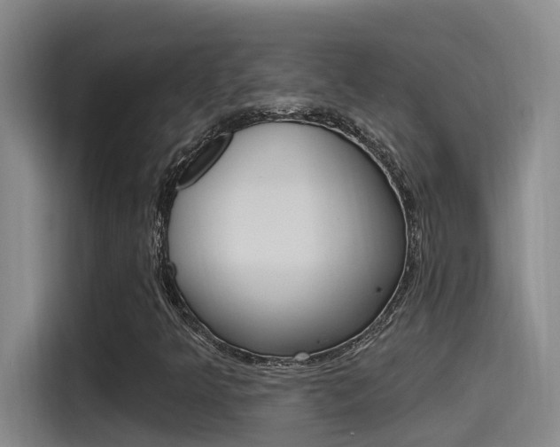 X0000115521349200911061015