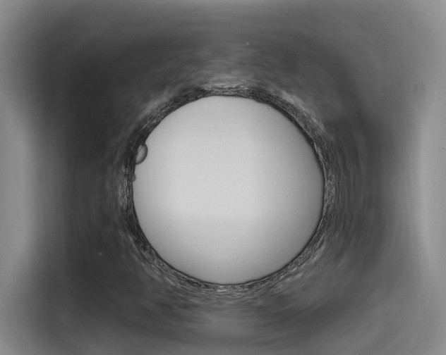 X0000115521350200911061015