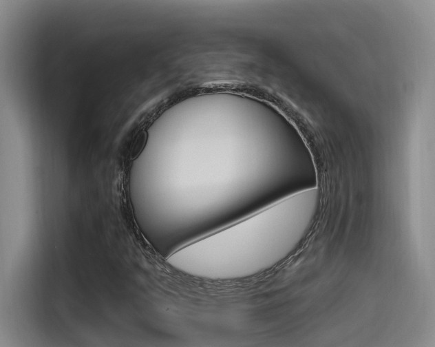 X0000115521351200911061015