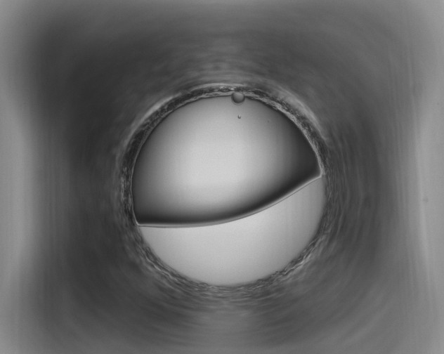 X0000115521352200911061015
