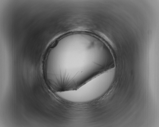 X0000115521356200911061015