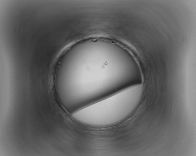 X0000115521359200911061015