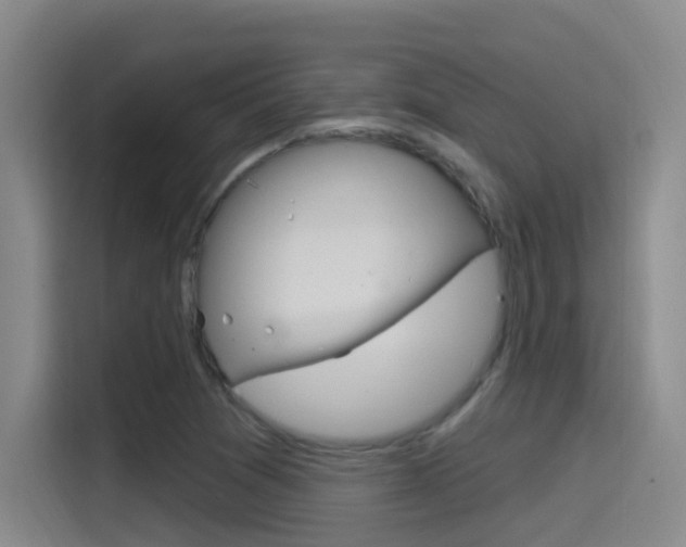 X0000115521361200911061015