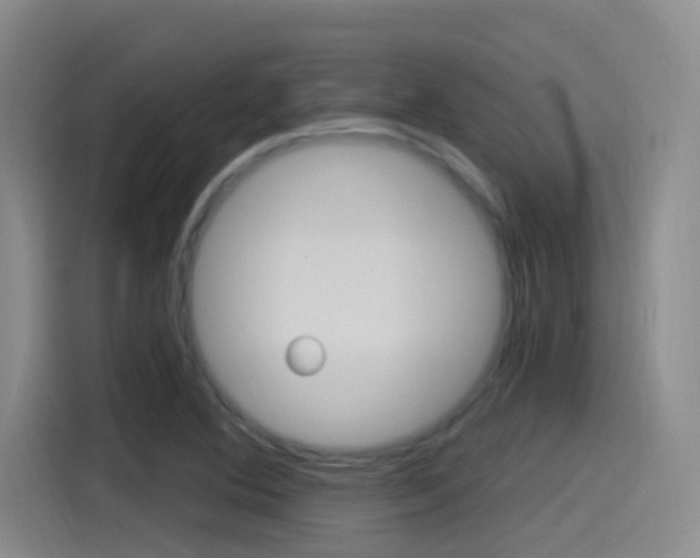 X0000115521364200911061015
