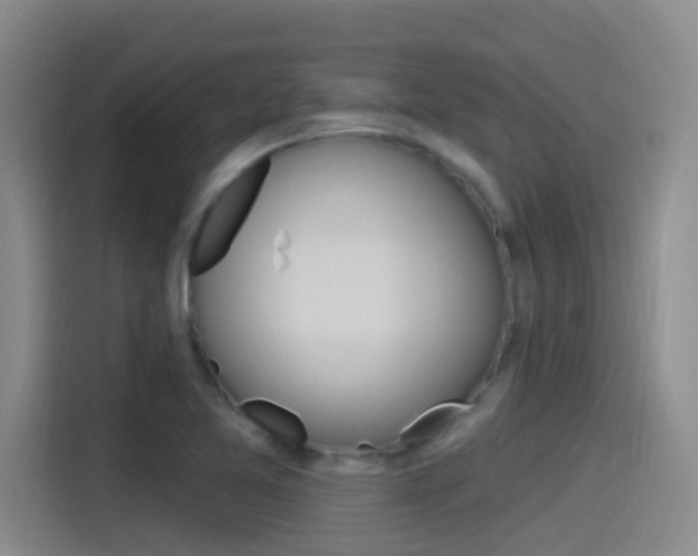 X0000115521365200911061014