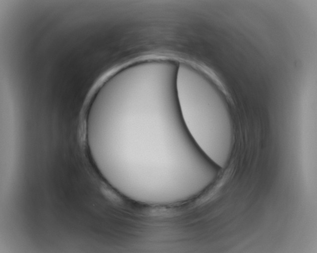 X0000115521366200911061014