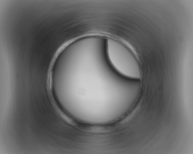 X0000115521371200911061014