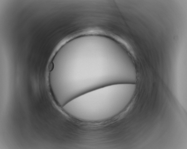 X0000115521374200911061014