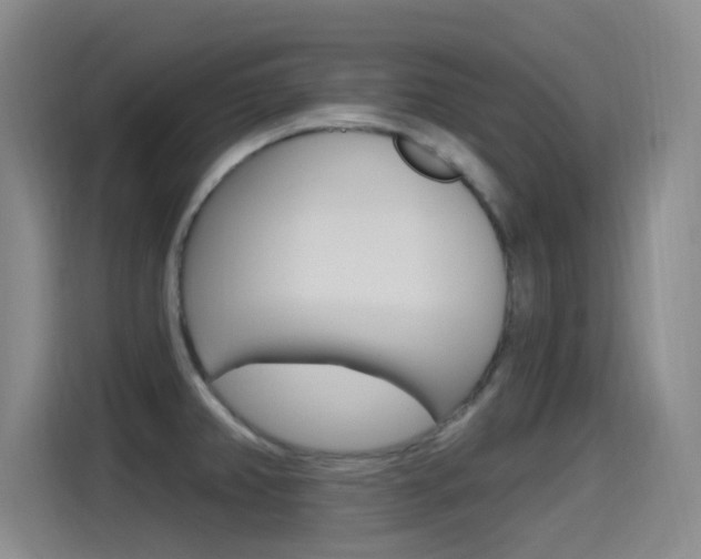 X0000115521382200911061014