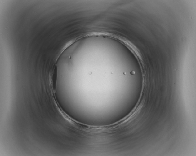 X0000115521385200911061014