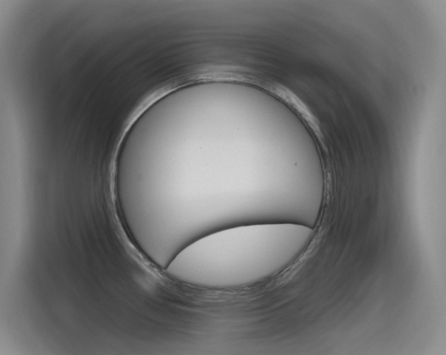 X0000115521386200911061014