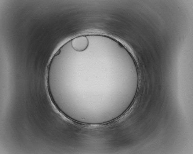 X0000115521390200911061014
