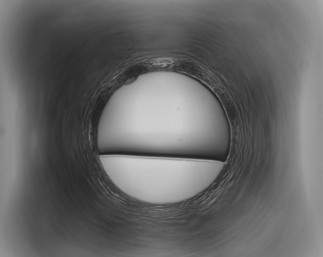X0000115521394200911061014