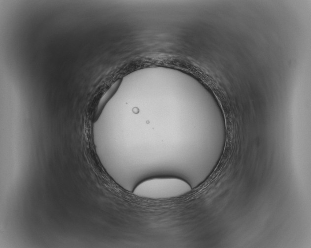 X0000115521397200911061014