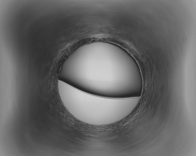 X0000115521398200911061014