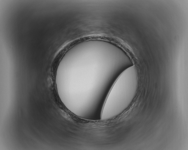 X0000115521400200911061014