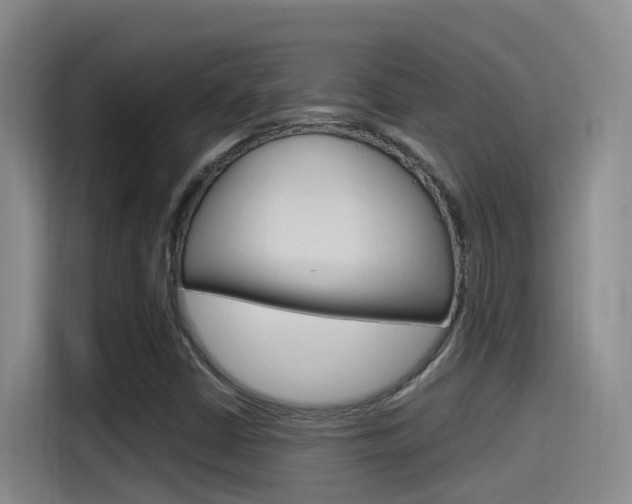 X0000115521402200911061014