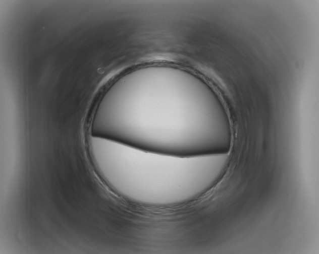 X0000115521404200911061014