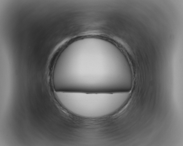 X0000115521406200911061014