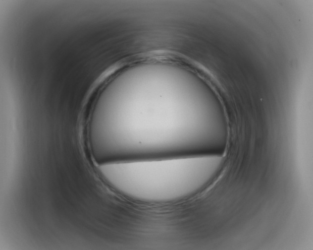 X0000115521410200911061014