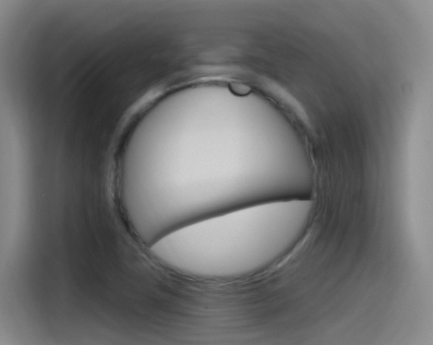X0000115521411200911061014