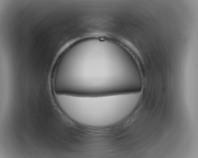 X0000115521412200911061014
