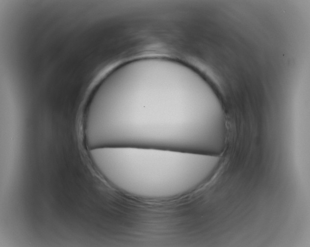 X0000115521415200911061014