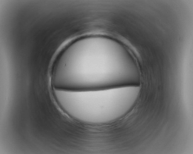 X0000115521416200911061014