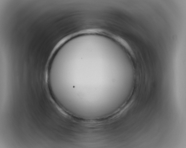 X0000115521420200911061014