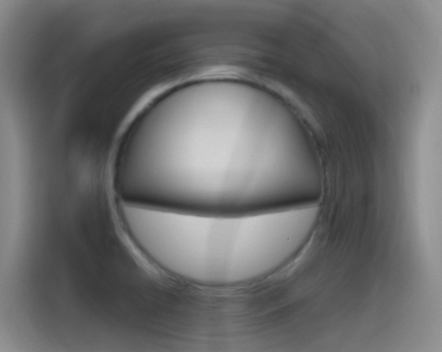 X0000115521422200911061014