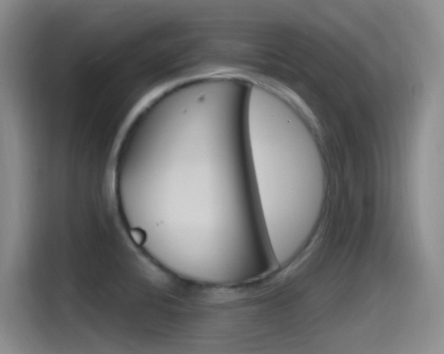 X0000115521424200911061014