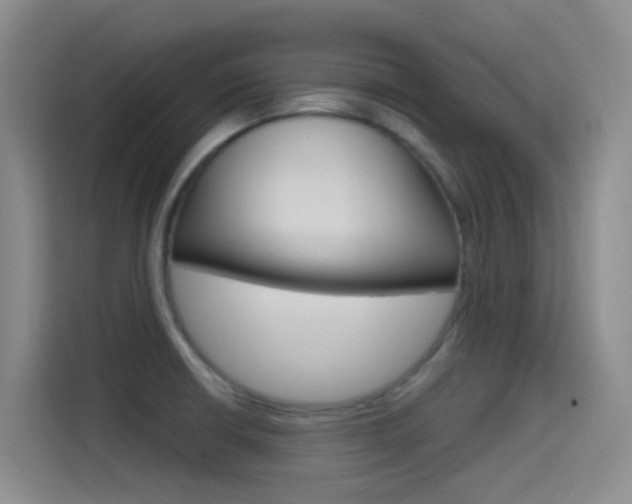 X0000115521426200911061014