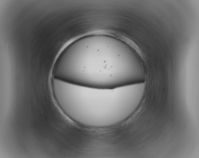 X0000115521428200911061014