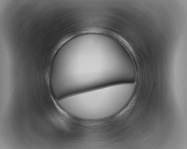 X0000115521433200911061014