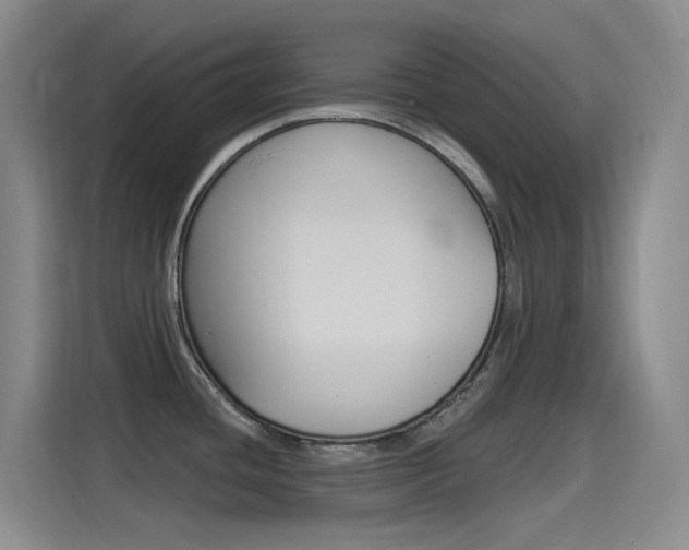 X0000115521436200911061014